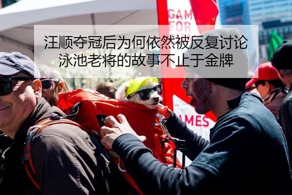 汪顺夺冠后为何依然被反复讨论 泳池老将的故事不止于金牌